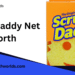 Scrub Daddy: From Shark Tank to Cleaning Empire – The Ultimate Success Story