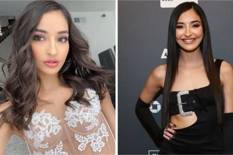 Emily Willis Bio, Age, Career, Income, Family, And Net Worth 2026